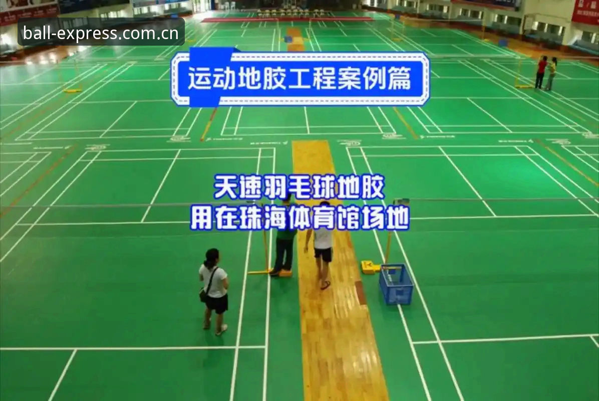 球速体育平台使用教程：从安装到实时数据获取全指南
