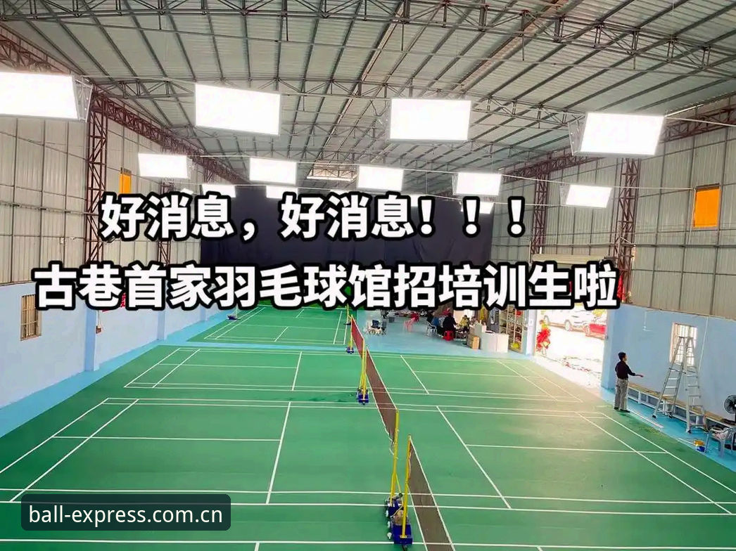 球速体育平台使用教程：从安装到实时数据获取全指南